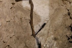 FRANCIS OF ASISSI SLEPT ON A ROCK